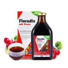 德国Floradix 铁元维生素补品500毫升补血圣原装进口养颜美白