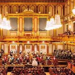 音乐之都维也纳金色大厅租演出场地可举办个人演唱会