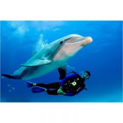 芭堤雅梦幻深潜一日游