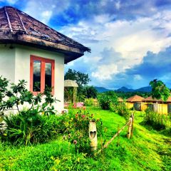 浪漫拜县一日游二战桥+草莓园+打秋千+骑大象+ Coffee in love 小黄屋清迈出发（成人）