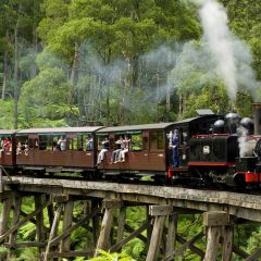普芬比利蒸汽火車+丹顿农山脉+布莱顿彩虹屋一日游（2—11岁）