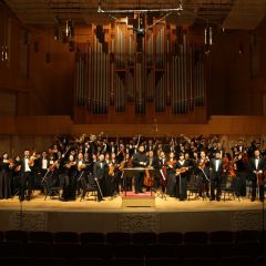 米拉贝尔宫殿古典音乐会之旅（一等座位儿童0-10周岁）