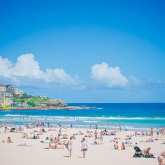 悉尼邦迪海滩+悉尼风光半日游（常规半日游）