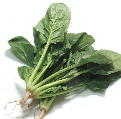 菠菜
