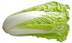 大白菜